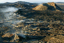 Krafla volcano caldera, which last erupted in 1984, Iceland. August 2003.