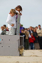 Children releasing Harbour seal (Phoca vitulina), whilst watched by spectators, on the shore of Bay of Somme, France, 3rd October 2004.