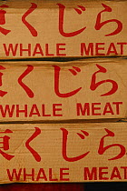 Frozen whale meat boxes, at the Husavik Whale hunting museum Hvalamidstodin, Iceland.