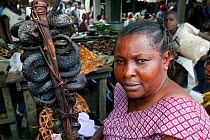 Snake smoked for bush meat, Mbandaka market, Democratic Republic of Congo.