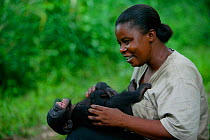 Surrogate mother tickling a young oprhan Bonobo (Pan paniscus) Lola Ya Bonobo Sanctuary, Democratic Republic of the Congo.   Non-ex