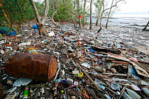 Pollution washed up in mangroves, Sungei Buloh Natural Park,  Singapore. Non-ex