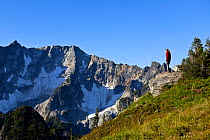 Woman looking at view, Cascade Mountains, Liberty Cap, Buck Creek Pass, Glacier Peak Wilderness, Wenatchee National Forest, Washington, USA. September 2014.