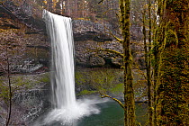 South Falls of South Fork Silver Creek, Silver Creek Falls State Park, Oregon, USA. December 2014.
