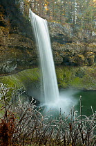 South Falls of South Fork Silver Creek, Silver Creek Falls State Park, Oregon, USA. December 2014.