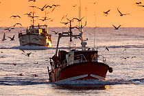 Fishing vessel coming in to Guilvinec Port at sunset, Finistere, Brittany, France. December. All non-editorial uses must be cleared individually.