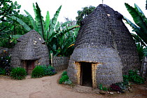 Huts in Dorze village, Guge mountains, Lake Chamo, Dorze huts resemble larger-than-life-elephants. Ethiopia, November 2014