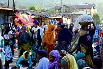 Busy market scene in Harar, an important holy city in the Islamic faith, UNESCO World Heritage Site. Ethiopia, November 2014