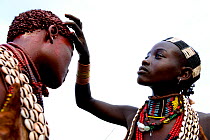 Hamer woman decorating the hair of her friend, Hamer Tribe, Lower Omo Valley. Ethiopia, November 2014