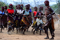 Women dancing at the Jumping of the bulls Hamer ceremony. This Hamer ceremony, it's a right of passage into manhood for Hamer boys. During the ceremony young female relatives of the boys beg to be whi...