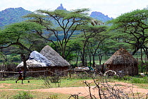 Borona village, with thatched huts. Ethiopia, November 2014