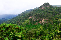 Landscape of the Sanetti Plateau, Bale Mountains National Park. Ethiopia, November 2014