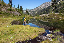 Hiker passing by small lake, Ferry Basin, Bailey Range Traverse, Olympic National Park, Washington, USA, August 2014.