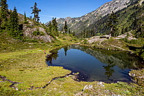 Hiker passing by small lake, Ferry Basin, Bailey Range Traverse, Olympic National Park, Washington, USA, August 2014. Model released.