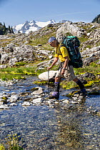 Hiker walking across stream, Ferry Basin. Bailey Range Traverse, Olympic National Park, Washington, USA, August. Model released.
