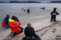Polar travelers photographing Walrus (Odobenus rosmarus) Svalbard, Norway, September.