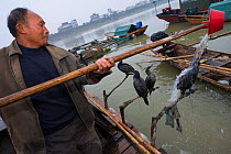 Fishermen fishing using domesticated Cormorants (Phalacrocorax carbo sinensis), washing the cormorants with water, Poyang Ho Lake, Jiangxi province, China
