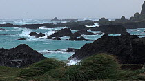 Waves breaking on a rocky shore during a storm, Macquarie Island, Sub-Antarctic Australia.