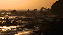 Hurd Point silhouetted at sunset, with Royal penguins (Eudyptes schlegeli) in the foreground, Macquarie Island, Australian Antarctica.