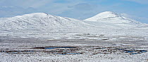 Blanket bog after snowfall in early spring at Forsinaird RSPB Reserve, The Flows, Sutherland and Caithness, Scotland, UK, April.