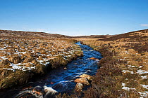 Blanket bog in early spring, Forsinaird RSPB Reserve, The Flows, Sutherland and Caithness, Scotland, UK, April.l