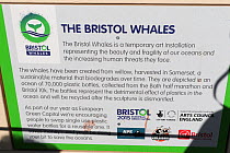 Sign explaining in front of the Bristol Whales, a wicker sculpture of two Blue whales surfacing surrounded by plastic bottles. Art installation by Cod Steaks to mark the Bristol Green Capital 2015. Mi...