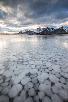 Frozen lake at Arrstranda, Vestvagoya, Lofoten, Norway. February 2014.