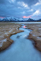 Saltmarsh with small stream, and mountain landscape at dawn in winter, Flakstadoya, Lofoten, Norway. February 2014