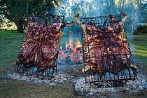 Roasted cow in cages, with leather, known as Asado Con Cuero, La Pampa, Argentina, March 2005.