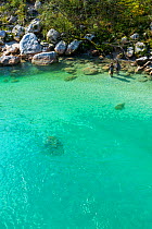 Fisherman fishing in clear blue waters of the Soca river, Soca Valley, Julian Alps, Slovenia, October 2014.