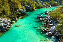 Fisherman fishing in clear blue waters of the Soca river, Soca Valley, Julian Alps, Slovenia, October 2014.