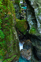 Waterfall in Tolmin Gorges, Soca Valley, Triglav National Park, Julian Alps, Slovenia, October 2014.