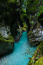 River running through Tolmin Gorges, Soca Valley, Triglav National Park, Julian Alps, Slovenia, October 2014.