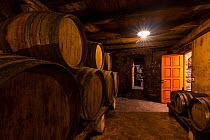 Interior of Branco Cotar Winery, Green Karst, Slovenia, October 2014.