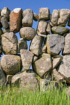 Wall of granite boulders, Isle of Mull, Hebrides, Scotland, UK, June.
