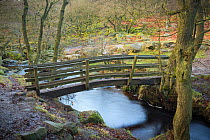 Wooden footbridge over Burbage Brook, with the ancient woodland of Padley Wood behind. Derbyshire, England, UK, January.