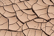 Cracked mud abstract, Atacama, Chile.