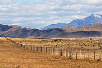 Estancia landscape with fence post, near Cerro Castillo, Patagonia, Chile, March 2015.