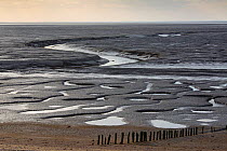 Low tide on the Wash, Snettisham, Norfolk, England, UK, February.