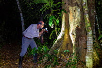 German wildlife photographer Konrad Wothe, at work in the Peruvian rainforest at night, Panguana, Amazonian Basin, Peru. Model released