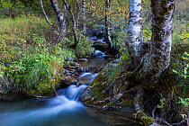 Long exposure of Bonaigua River, Bonaigua Valley, Pyrenees Mountain, Lleida, Catalonia, Spain, October 2013.