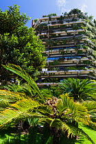Vertical garden on the walls of a tower block, Barcelona. Catalonia. Spain, June 2013.