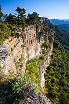 Cliffs in Pradell-La Argentera mountain range Area of Natural Interest, Tarragona, Catalonia, Spain, May 2013.