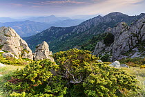 Landscape in Salines Mountain Range Area of Natural Interest, Pyrenees Mountain, Girona, Catalonia, Spain. June 2015.
