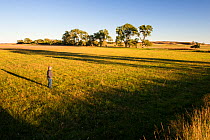 Lynn Ballagh looking out over his property, where the proposed NPPD power transmission line would pollute the landscape. Ballagh cattle ranch in the Sandhills of Nebraska, Garfield County, Nebraska, U...