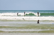 Surfers on the waves at Surfers Corner, Muizenberg Beach, False Bay, near Cape Town, Western Cape, South Africa. June 2011.