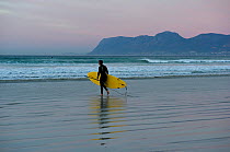 Surfer walking along beach, Muizenberg Beach, False Bay, near Cape Town, Western Cape, South Africa. July 2013.