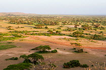 Aerial landscape of Amboseli National Park, Kenya, January 2015.