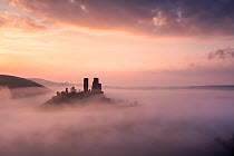 Corfe castle and village at dawn with mist, Corfe Castle, The Purbecks, Dorset, UK. September 2014.