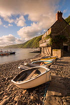 Clovelly harbour in early morning light, Clovelly, North Devon, UK. May 2015.